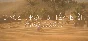 ONCE UPON A TIME IN MOROCCO STEAM KEY REGION GLOBA