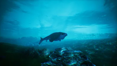 Beasts of Bermuda STEAM•RU ⚡️AUTODELIVERY 💳0%