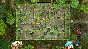 Alice Behind the Mirror (steam key)
