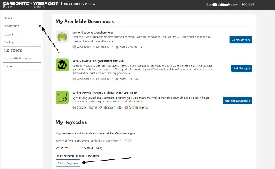 Webroot SecureAnywhere AntiVirus до 25 марта 2026/1ПК