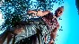 Far Cry 3 Classic Edition ТУРЦИЯ Xbox One, X|S Ключ 🔑