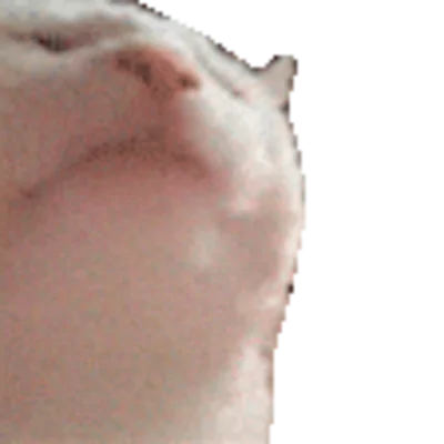 Февраль - League of Legends💊Капсула Prime Gaming