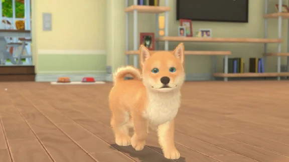 My Universe Puppies Kittens (steam key)
