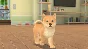 My Universe Puppies Kittens (steam key)