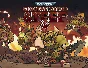 Warhammer 40000 Shootas Blood Teef (steam key)