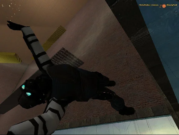 Half-Life 2: Deathmatch STEAM•RU ⚡️AUTODELIVERY 💳0%