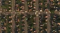 Cities: Skylines - Content Creator Pack: University Cit