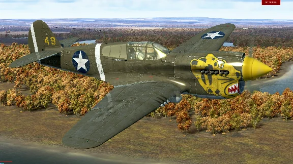 IL-2 Sturmovik: P-40E-1 Collector Plane (Steam | RU) ⚡A