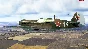 IL-2 Sturmovik: P-40E-1 Collector Plane (Steam | RU) ⚡A