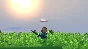 Portal Knights - Grumpy Rings Box STEAM•RU ⚡️AUTO 💳0%