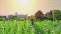 Portal Knights - Emoji Box STEAM•RU ⚡️АВТОДОСТАВКА 💳0%