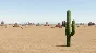 The Long Drive - STEAM GIFT RUSSIA