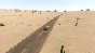 The Long Drive - STEAM GIFT RUSSIA