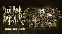 Don´t Starve Together: Bounteous Bundle DLC ⚡️АВТО