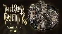 Don´t Starve Together: Wanda Deluxe Chest DLC ⚡️AUTO