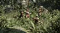 ✅Ryse: Son of Rome Legendary Edition ⭐Xbox\Key⭐ + Bonus