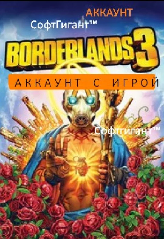 Borderlands 3 (epic account) - EMAIL CHANGE!
