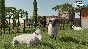 Farming Simulator 22 +ВЫБОР STEAM•RU ⚡️АВТО 💳0%