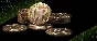 Call of Duty: MW3 Warzone 2 game coins Xbox