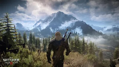 The Witcher 3: Wild Hunt ⭐STEAM ⭐