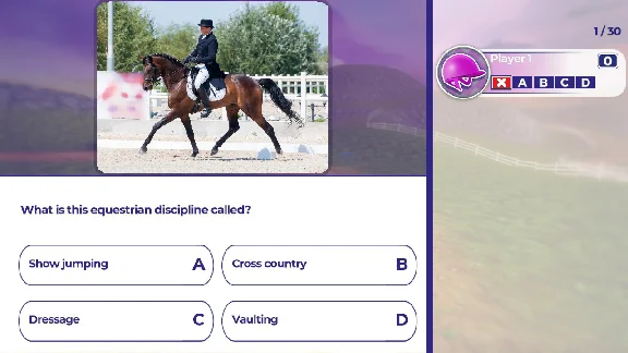 Equestrian Training (steam key)