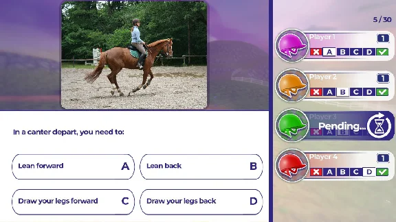 Equestrian Training (steam key)