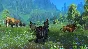 [US] World of Warcraft: Dragonflight - Heroic Edition