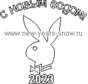 Everything for the New Year of the Rabbit 2023