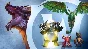 🔑(US/NA) WOW Dragonflight 🔷 HEROIC EDITION 🔷