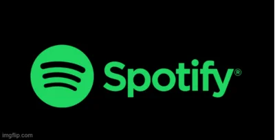 🔑 SPOTIFY PREMIUM 1/3/6/12 Monthly SUBSCRIPTION - FAST
