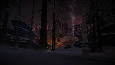 The Long Dark: Tales from the Far Territory DLC ⚡️АВТО