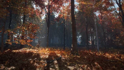 theHunter: Call of the Wild - New England Mountains