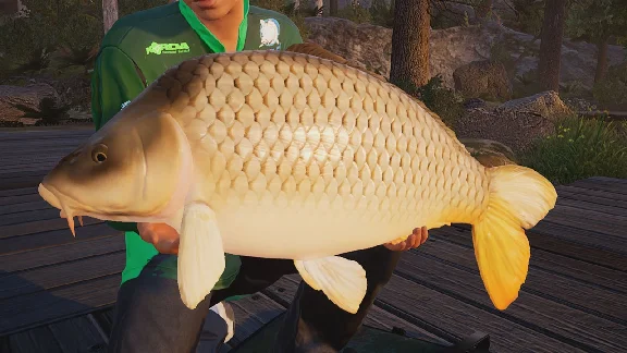 ✅ Fishing Sim World®: Pro Tour Xbox One|X|S activation