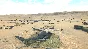 ✅ Heliborne Xbox One & Xbox Series X|S activation