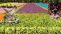 Farm Manager 2021 - Floriculture DLC 💎 DLC STEAM GIFT