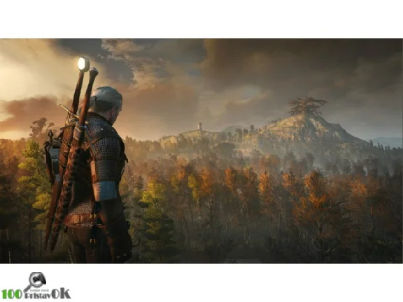 🔥The Witcher 3 Game of the Year Edition No Line Guaran