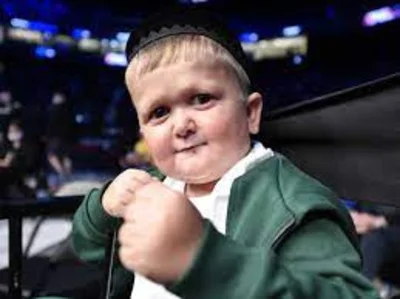 UFC 4 Hasbulla Vanity Набор🔑 DLC Хасбик XBOX