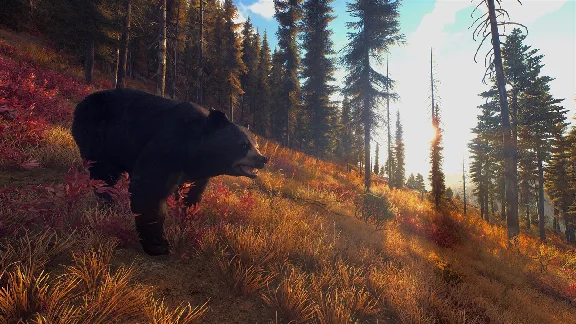 ✅ Way of the Hunter Xbox Series X|S активация