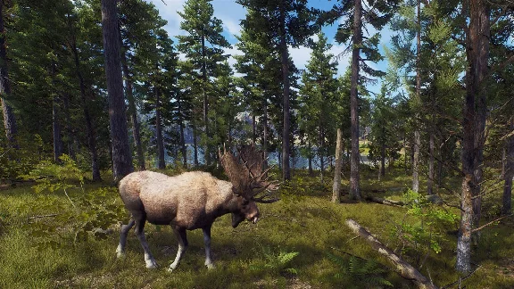✅ Way of the Hunter Xbox Series X|S активация