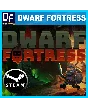 Dwarf Fortress ✔️STEAM Account