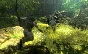 ✅ Bionic Commando STEAM KEY REGION FREE GLOBAL ROW