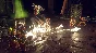 Warhammer 40,000: Mechanicus Standard Steam key/Global