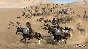 ✅ Mount & Blade II: Bannerlord Xbox One|X|S activation