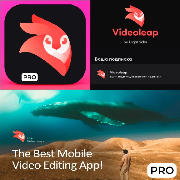 ⚡Videoleap AI Video Editor PRO iPhone ios AppStore iPad