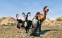 ✅Goat Simulator: PAYDAY ⭐Steam\RegionFree\Key⭐ + Бонус