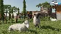 ✅ Farming Simulator 22 Xbox One|X|S activation