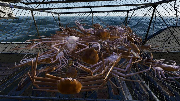 ✅ Fishing: North Atlantic Xbox One|X|S активация