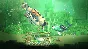 ✅ Hungry Shark® World Xbox One|X|S activation