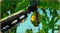 ✅Bean Stalker ⭐Steam\RegionFree\Key⭐ + Бонус