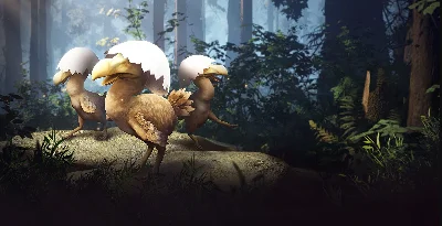 Black Desert Online 🔑 Pet Kuku